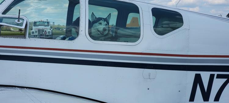 Jasper-waiting-in-the-airplane-as-its-fueled-up