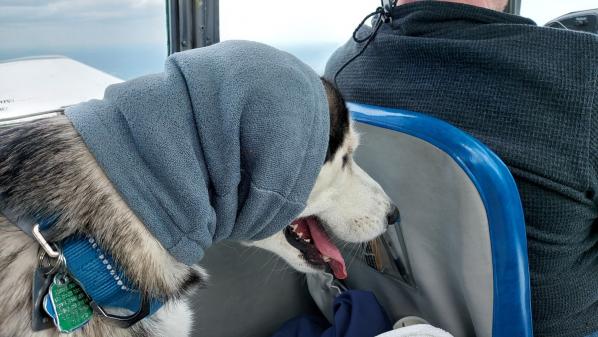 Jasper-watching-the-dials-and-knobs-as-Zack-taxi-to
